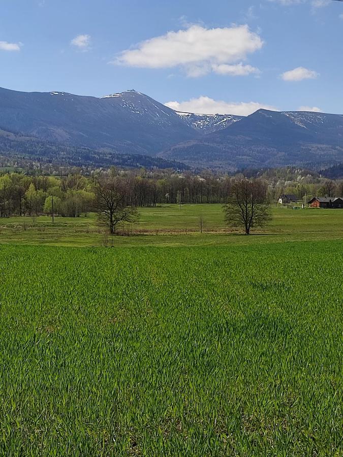 Chata Na Karpackiej Kostrzyca Exteriör bild