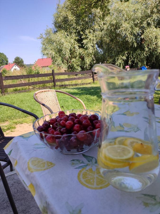 Chata Na Karpackiej Kostrzyca Exteriör bild